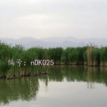 ĺ֮