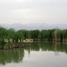 ΢